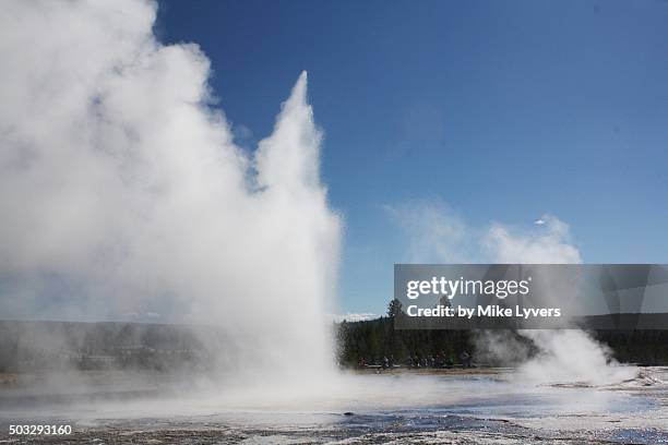 daisy geyser - daisy geyser stock pictures, royalty-free photos & images