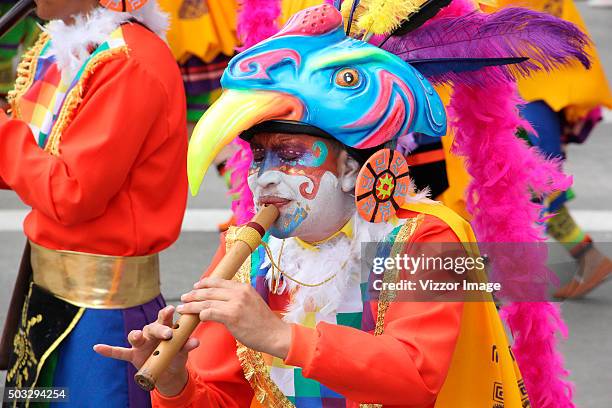 Man member of choreographic parade "Canto a la Tierra" performs as part of the Blacks and Whites Carnival on January 03, 2016 in Pasto, Colombia. On...