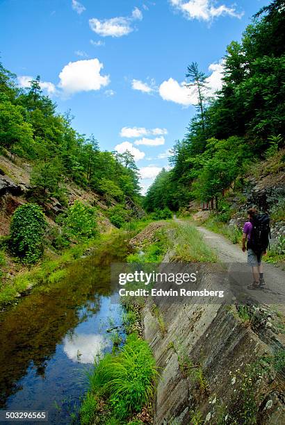 man with backpack hiking - chesapeake and ohio canal national park stock pictures, royalty-free photos & images