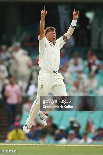 James Pattinson of Australia celebrates after taking the wicket of Carlos Brathwaite of West Indies during day two of the third Test match between...