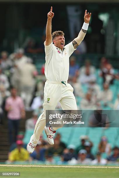 James Pattinson of Australia celebrates after taking the wicket of Carlos Brathwaite of West Indies during day two of the third Test match between...