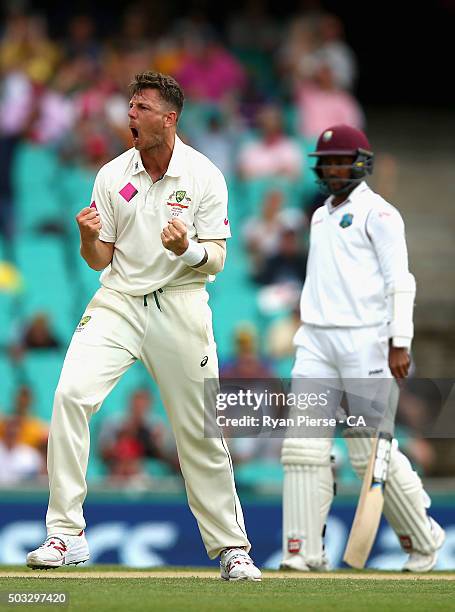 James Pattinson of Australia celebrates after taking the wicket of Carlos Brathwaite of West Indies during day two of the third Test match between...