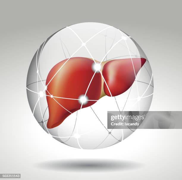 protect the liver - shield 3d stock illustrations