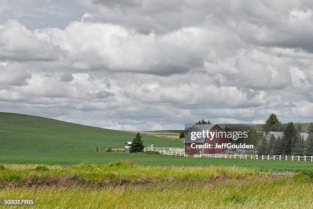 red barn in a palouse wheat field - pullman bildbanksfoton och bilder