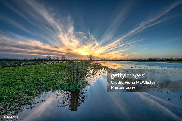 floodland sunset - extreme weather farm stock pictures, royalty-free photos & images