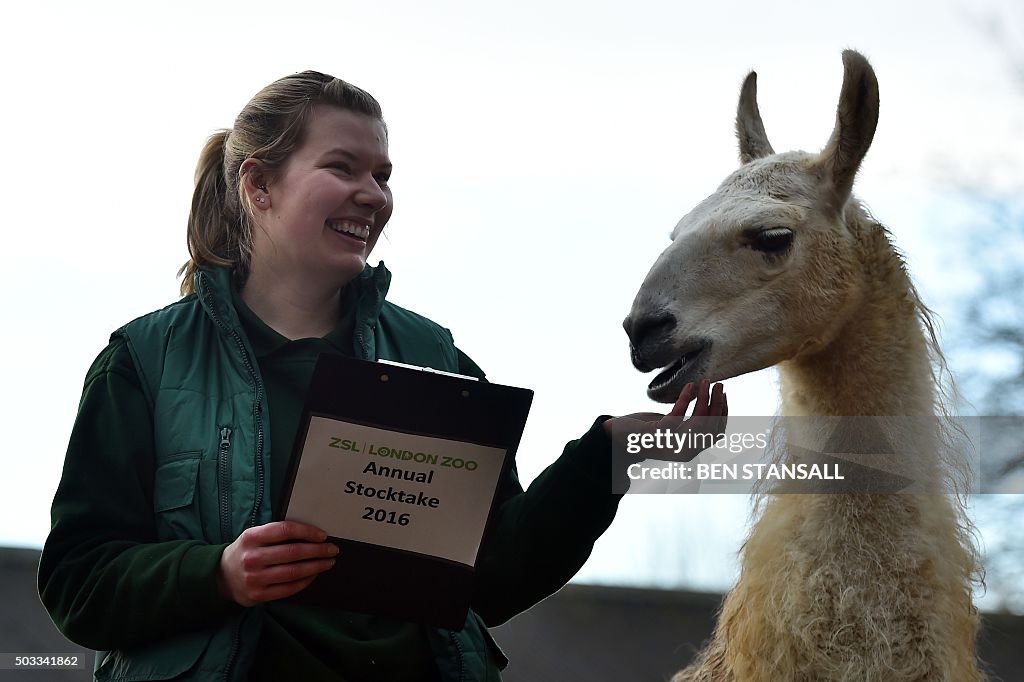 BRITAIN-OFFBEAT-ANIMALS