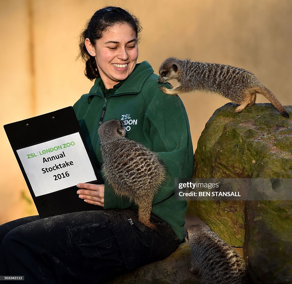 BRITAIN-OFFBEAT-ANIMALS