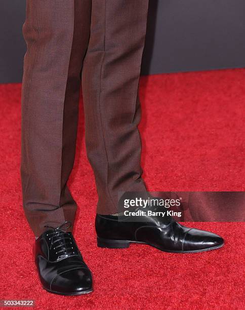Actor Domhnall Gleeson, shoe detail, attends the Premiere of 20th Century Fox And Regency Enterprises' 'The Revenant' at TCL Chinese Theatre on...