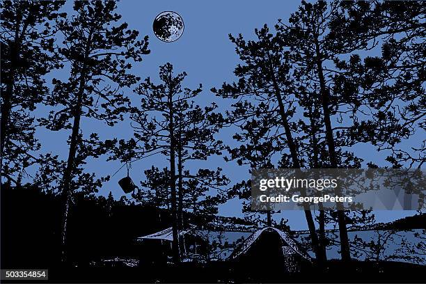 stockillustraties, clipart, cartoons en iconen met wilderness campsite at night with full moon - red pine
