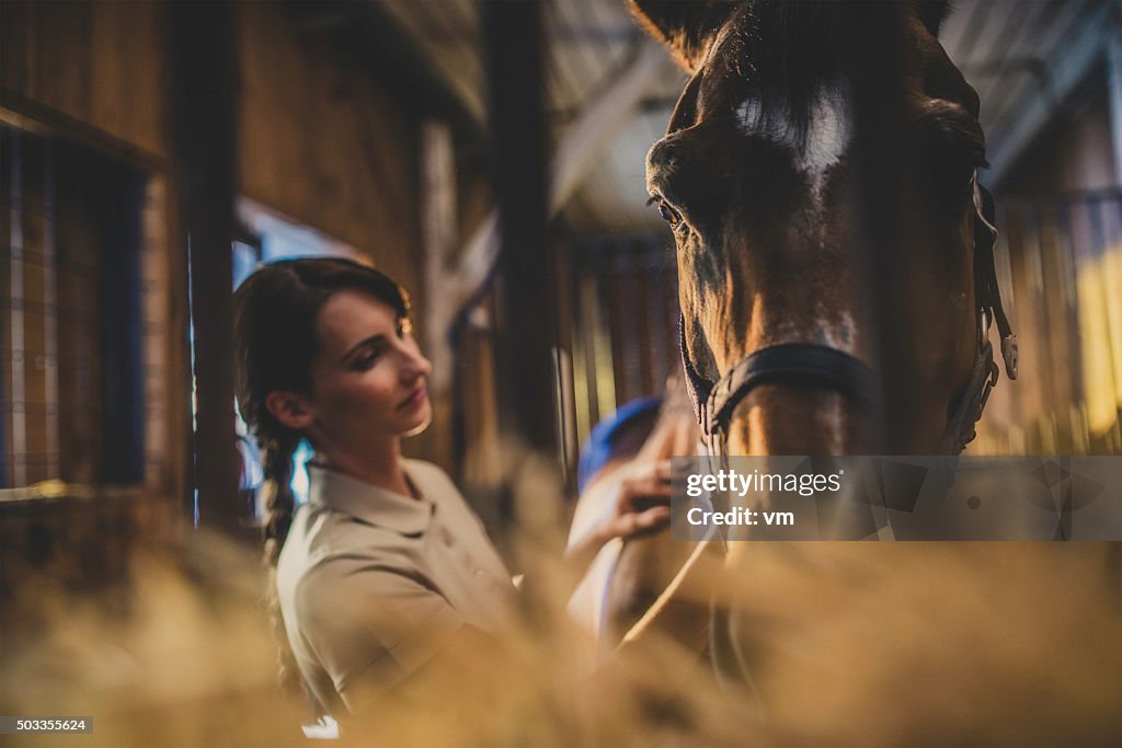 Woman brushing a horse's head in a stable