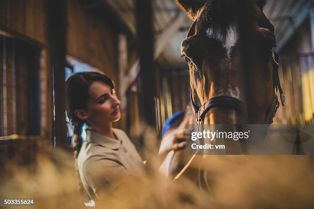 woman brushing a horse's head in a stable - horse barn stock pictures, royalty-free photos & images
