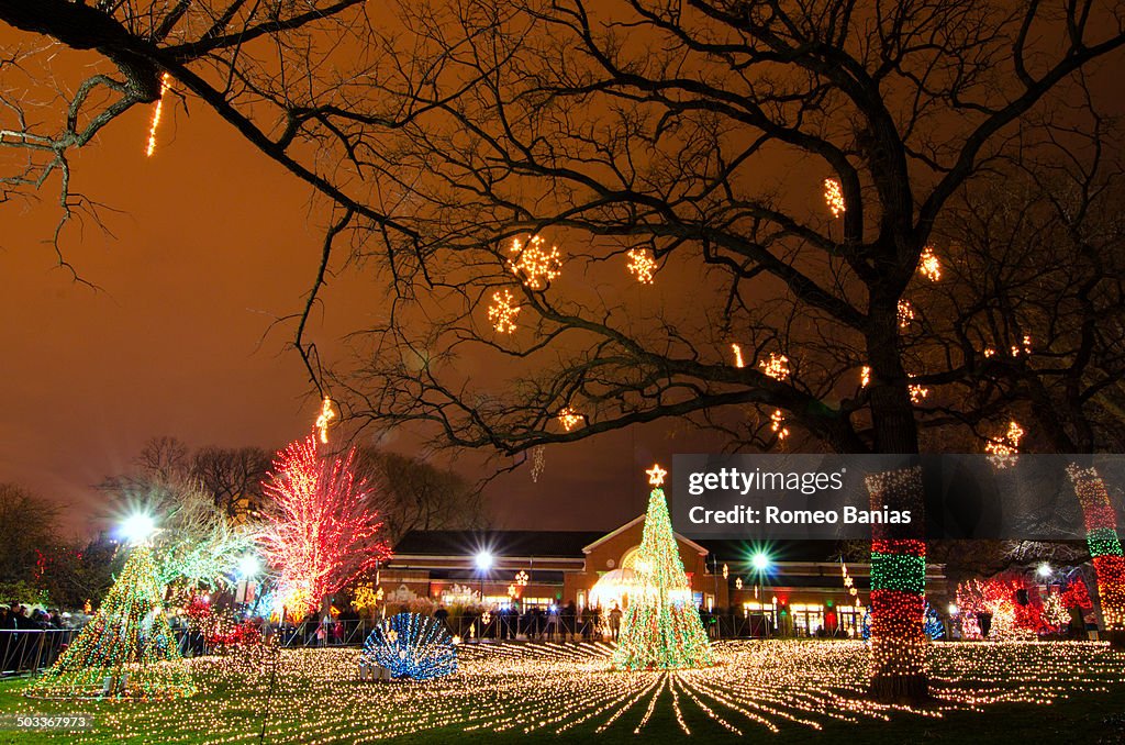 Holiday Lights at Lincoln Park Zoo