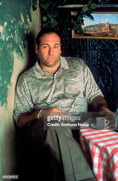 Actor James Gandolfini.