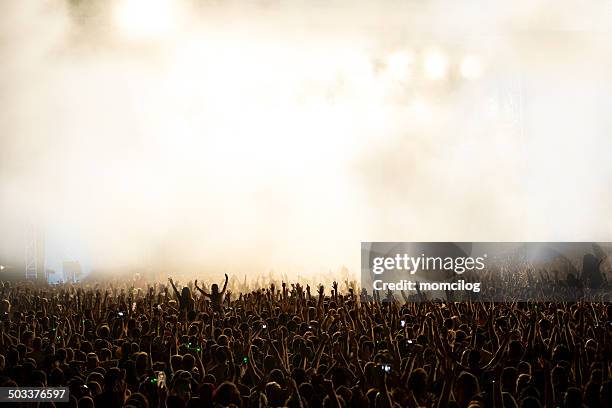 multitud de conciertos - contraluz fotografías e imágenes de stock