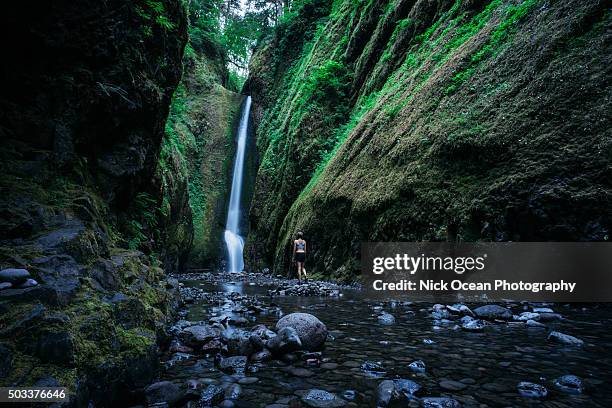 oneonta gorge, oregon - oneonta gorge bildbanksfoton och bilder