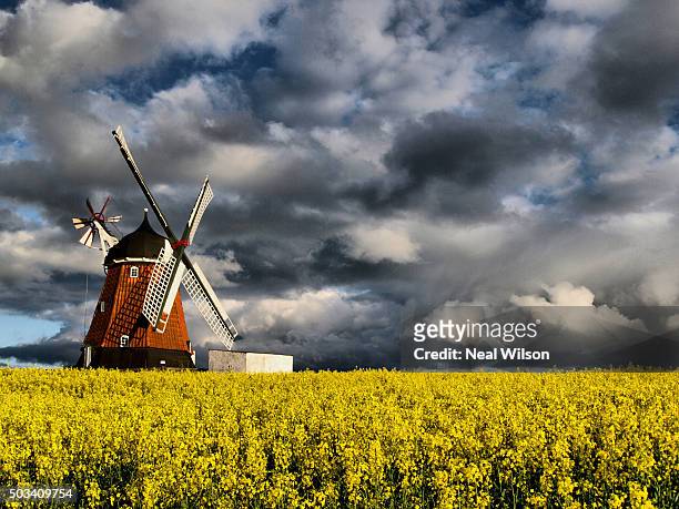 denmark - molino de viento tradicional fotografías e imágenes de stock