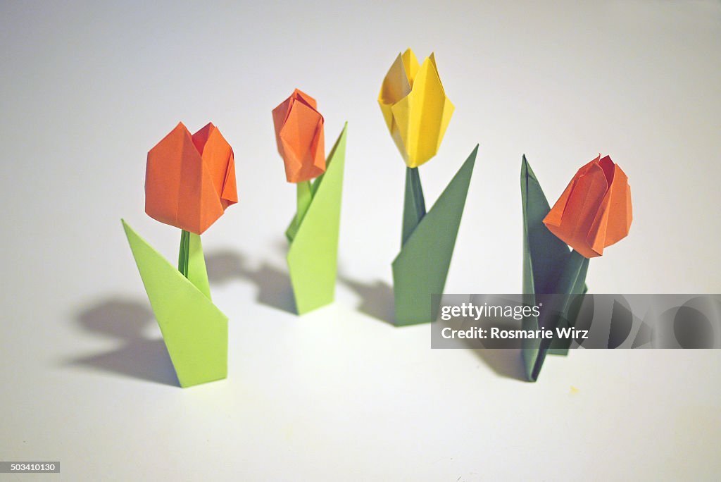 Origami paper tulips