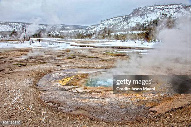 geyser, yellowstone national park - caldera stock pictures, royalty-free photos & images