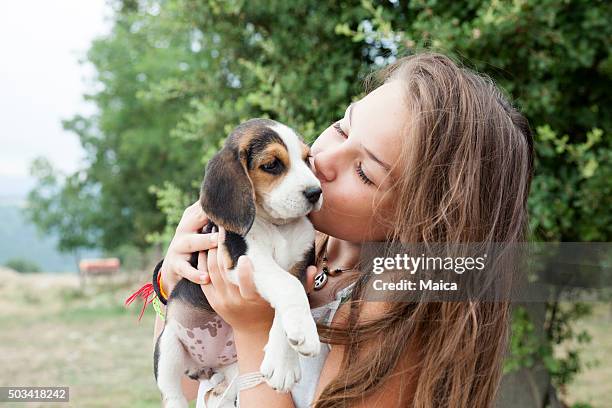 girl with baby dog - beagle stock pictures, royalty-free photos & images