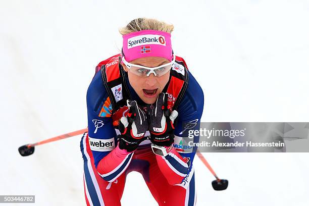 Therese Johaug of Norway competes at the Ladies 1.2km Classic Sprint Competition during day 1 of the FIS Tour de Ski event on January 5, 2016 in...