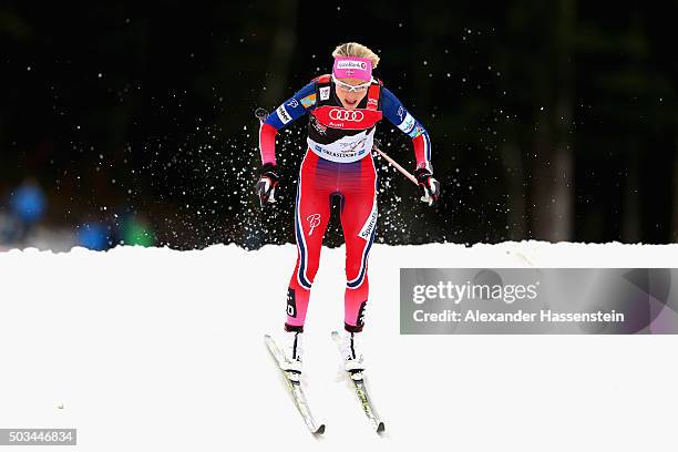 Therese Johaug of Norway competes at the Ladies 1.2km Classic Sprint Competition during day 1 of the FIS Tour de Ski event on January 5, 2016 in...