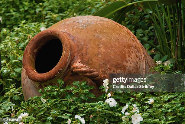 terracotta urn in lush garden - urn flowers stock pictures, royalty-free photos & images