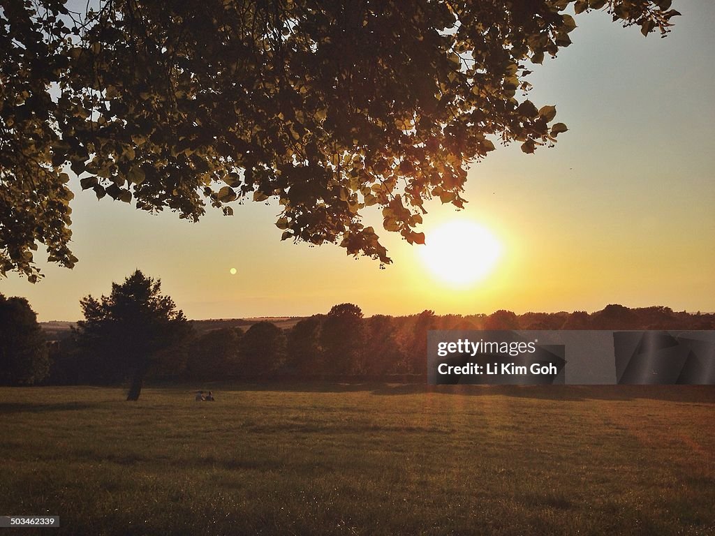 Illuminating Sunbeams