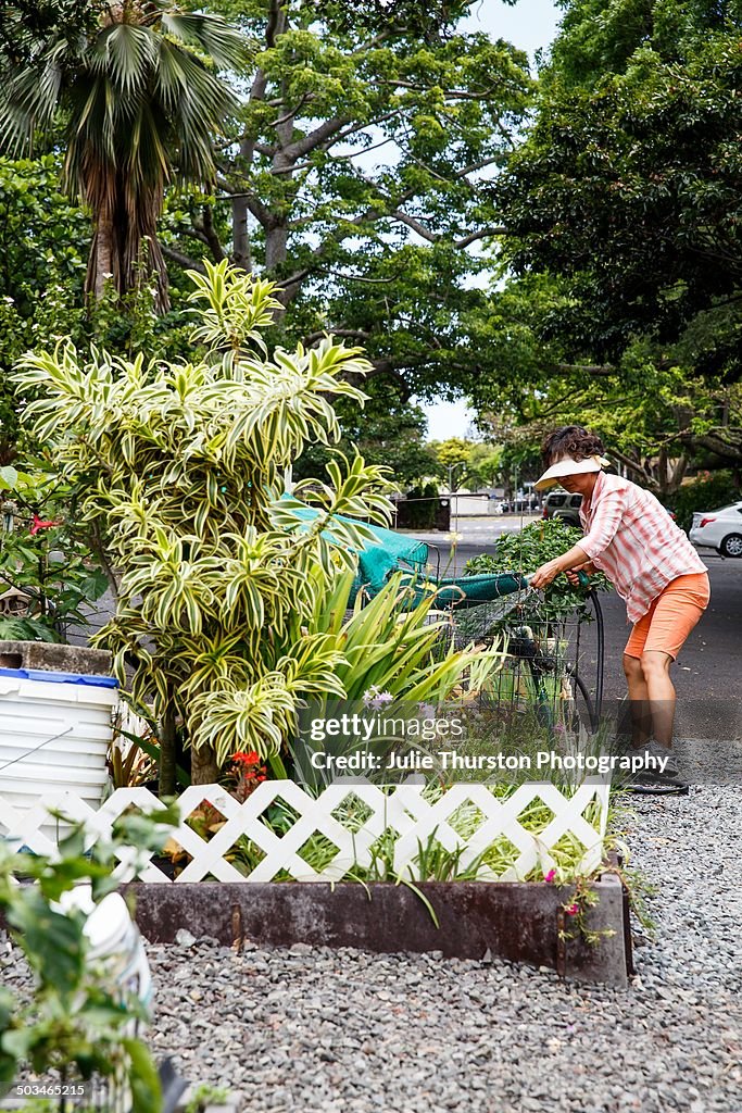 Urban Gardening