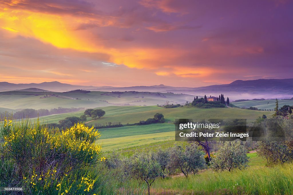 Landscape in Tuscany