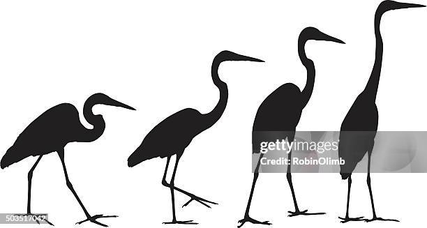 crane silhouettes - water bird stock illustrations