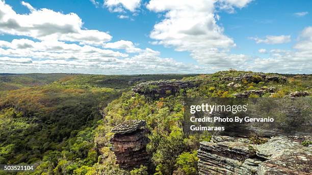 canyon chapada diamantina - cordilheira foto e immagini stock