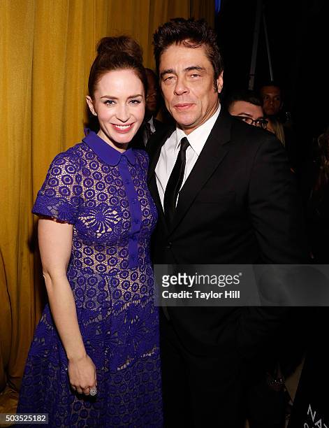 Emily Blunt and Benicio del Toro attend the 2015 National Board of Review Gala at Cipriani 42nd Street on January 5, 2016 in New York City.