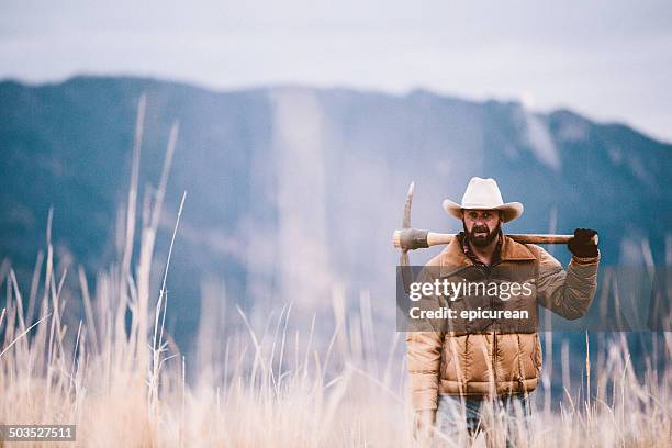 working man holds pickaxe while standing in field near mountains - pickaxe stock pictures, royalty-free photos & images