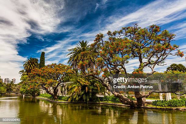 flowering trees in the park, buenos aires - palermo buenos aires stock pictures, royalty-free photos & images