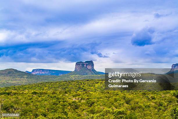 Diamantha 1,069 Diamantina National Park Stock Photos, High-Res Pictures, and ...