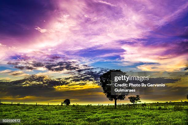 sunset - paisagem natureza stock pictures, royalty-free photos & images