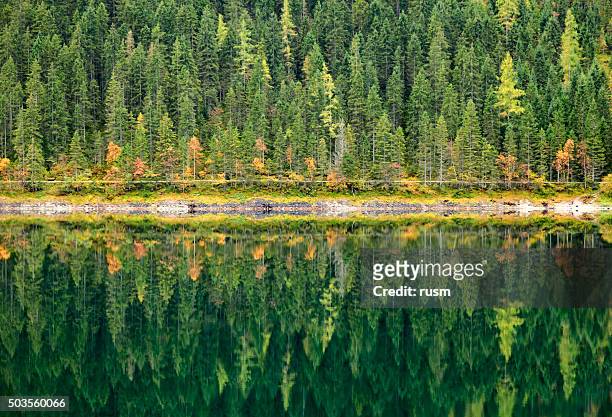 autumn forest reflected in calm lake. gosausee, austria. - symmetry stock pictures, royalty-free photos & images
