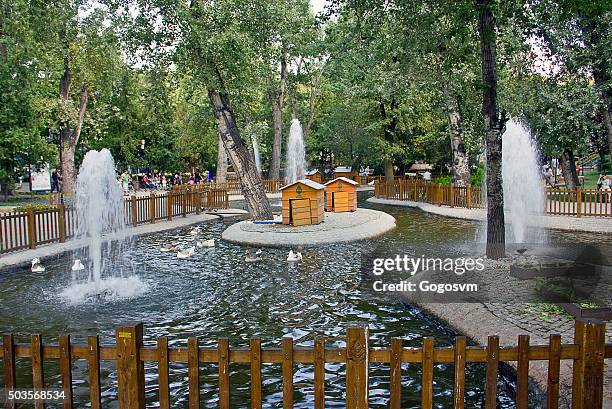 kugulupark (swanpark) - daily life in ankara stock pictures, royalty-free photos & images