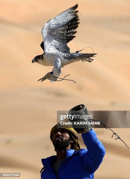 An Emirati falconer trains his bird on January 6 during the Liwa 2016 Moreeb Dune Festival in the Liwa desert, some 250 kilometres southwest of Abu...