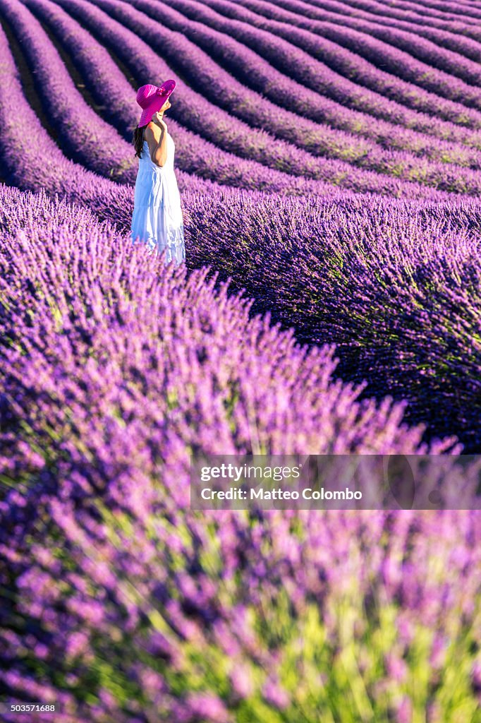 Woman in white in the lavender, Provence, France