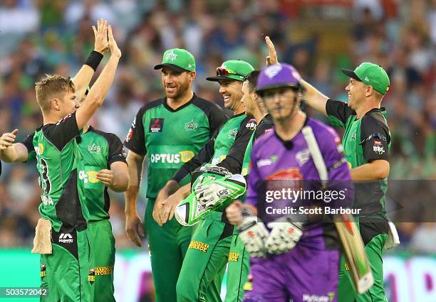 Adam Zampa of the Stars is congratulated by his teammates after dismissing George Bailey of the Hurricanes during the Big Bash League match between...