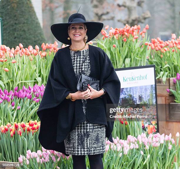 Queen Maxima of The Netherlands arrives to attend the award ceremony for the Tuinbouw Ondernemersprijs 2016 at the Keukenhof flower show on January...