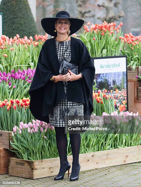 Queen Maxima of The Netherlands arrives to attend the award ceremony for the Tuinbouw Ondernemersprijs 2016 at the Keukenhof flower show on January...