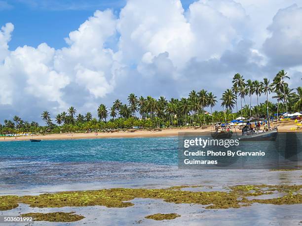 summer beach - feriado stock pictures, royalty-free photos & images