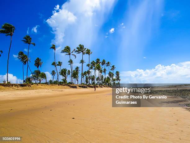 summer beach - feriado stockfoto's en -beelden