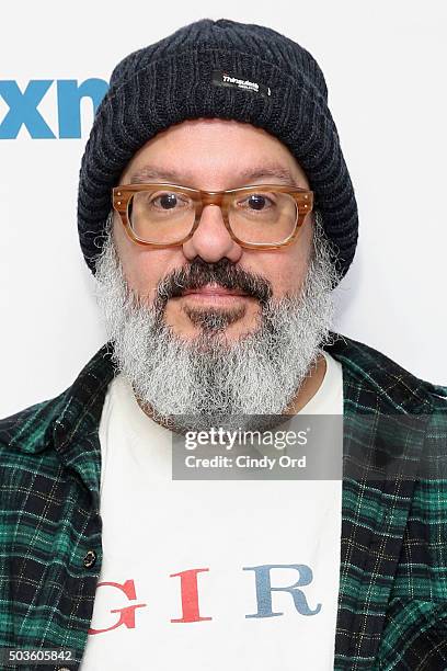 Comedian David Cross visits the SiriusXM Studios on January 6, 2016 in New York City.