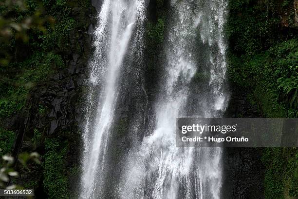 puxtla's waterfall over eighty metres high in tlatlauquitepec - mexico - en medio de la carretera photos et images de collection