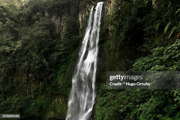 puxtla's waterfall over eighty metres high in tlatlauquitepec - mexico - en medio de la carretera photos et images de collection