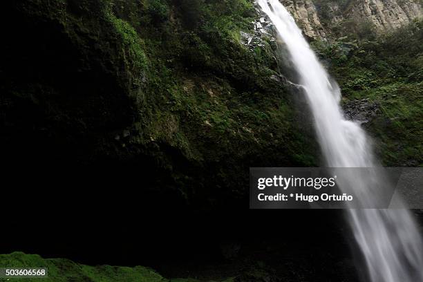 puxtla's waterfall over eighty metres high in tlatlauquitepec - mexico - en medio de la carretera photos et images de collection