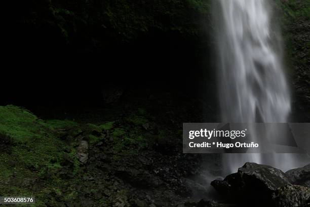 puxtla's waterfall over eighty metres high in tlatlauquitepec - mexico - en medio de la carretera photos et images de collection